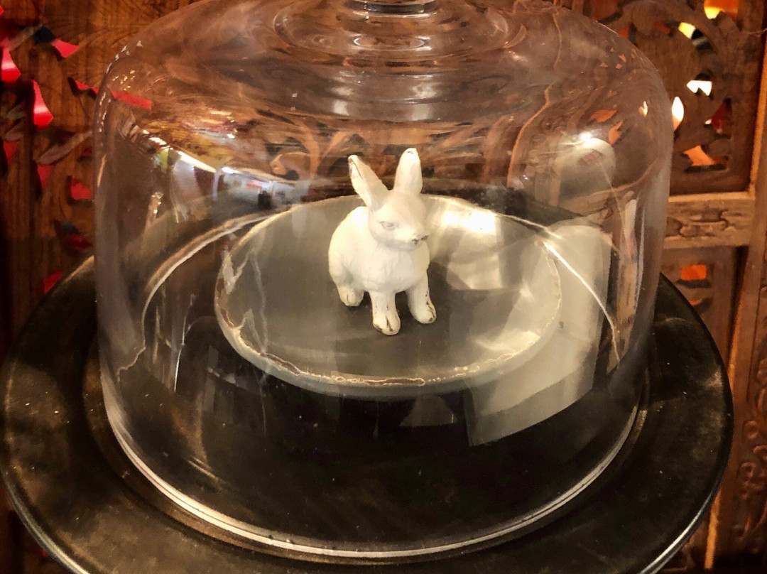 The Rabbit Hole-布里奇敦必去景点