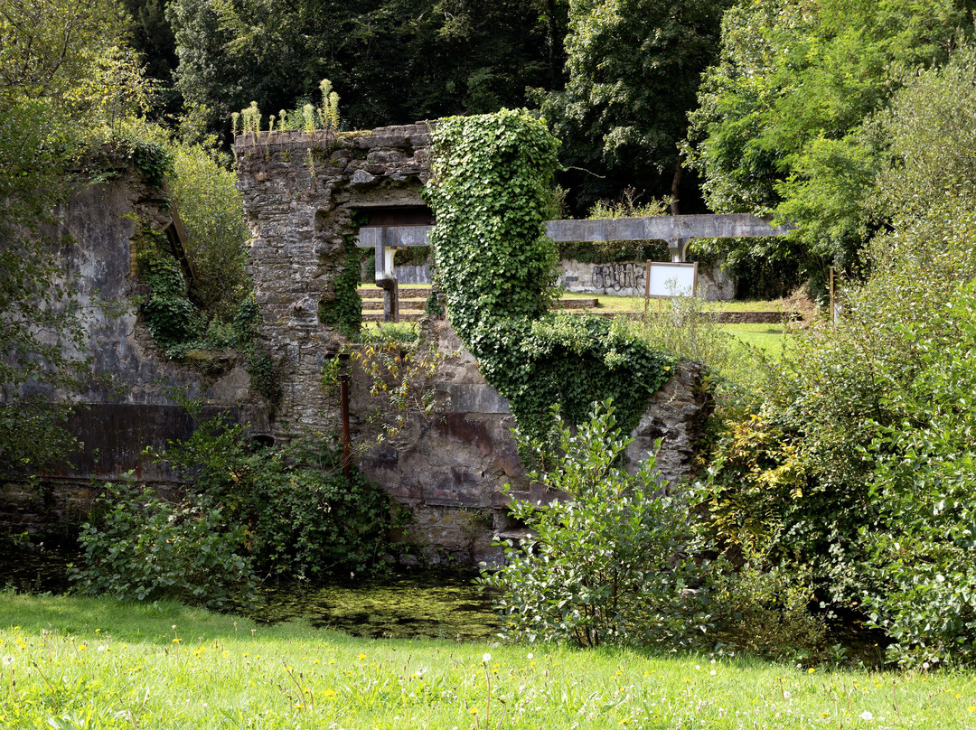 Vallée Des Papeteries