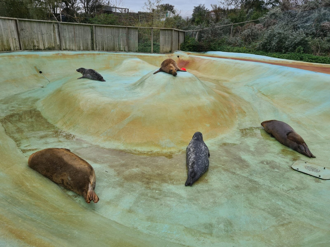 Mablethorpe Seal Sanctuary and Wildlife Centre景点图片