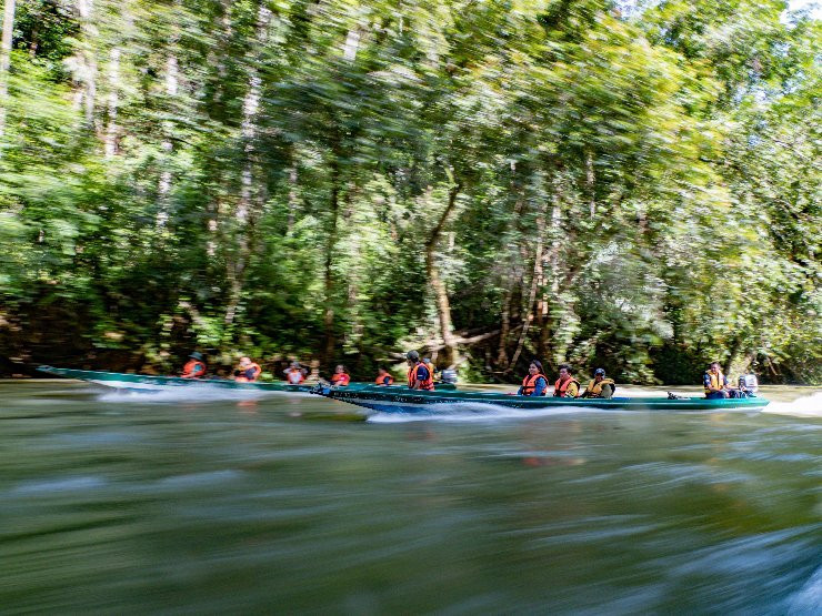 Ulu Temburong National Park景点图片