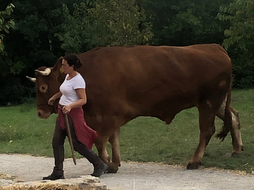 Hotel Am Kurpark Spath主图