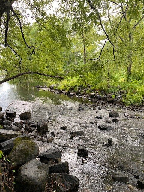 Wayne Village Dam on Mill Brook景点图片