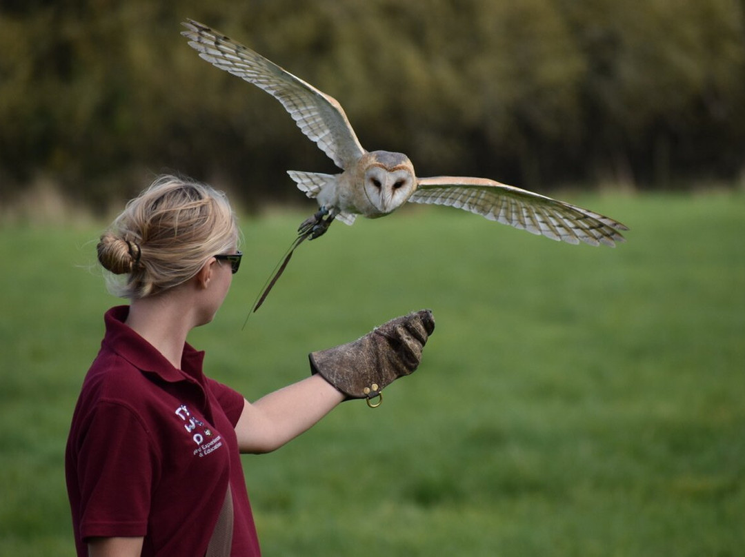 TWO Bird Experiences & Education Ltd景点图片