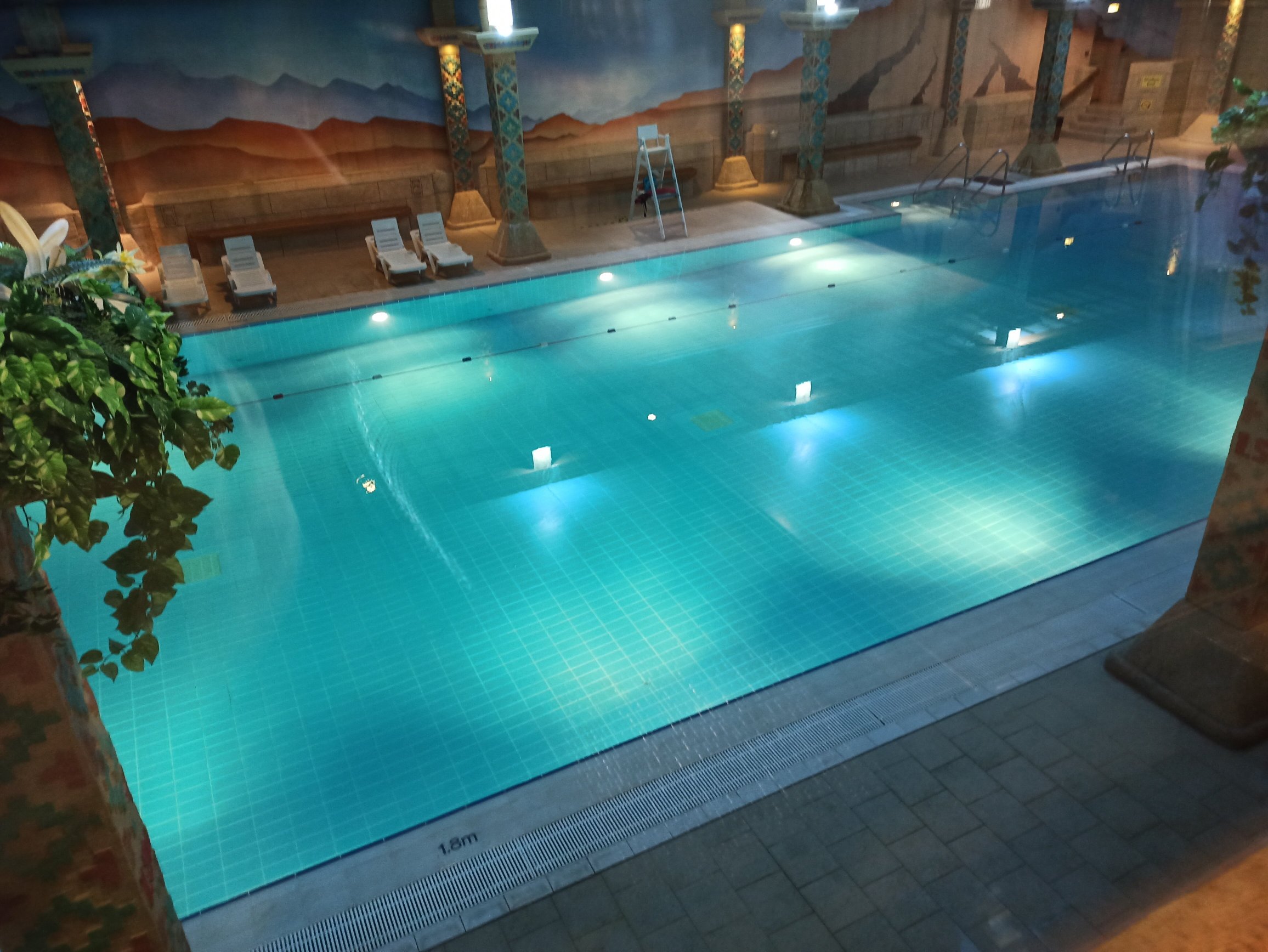 TLH Carlton Hotel-泳池