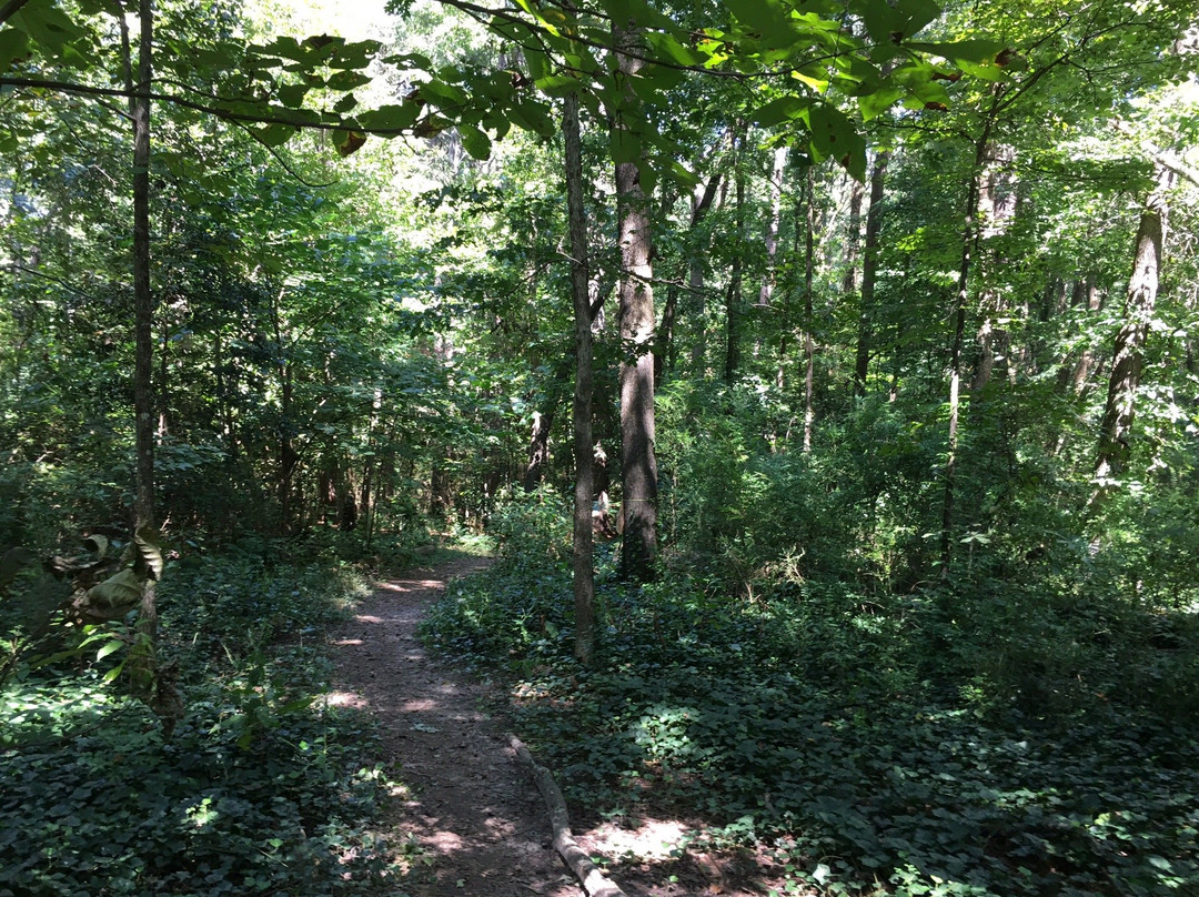 Tucker Nature Preserve-Tucker必去景点