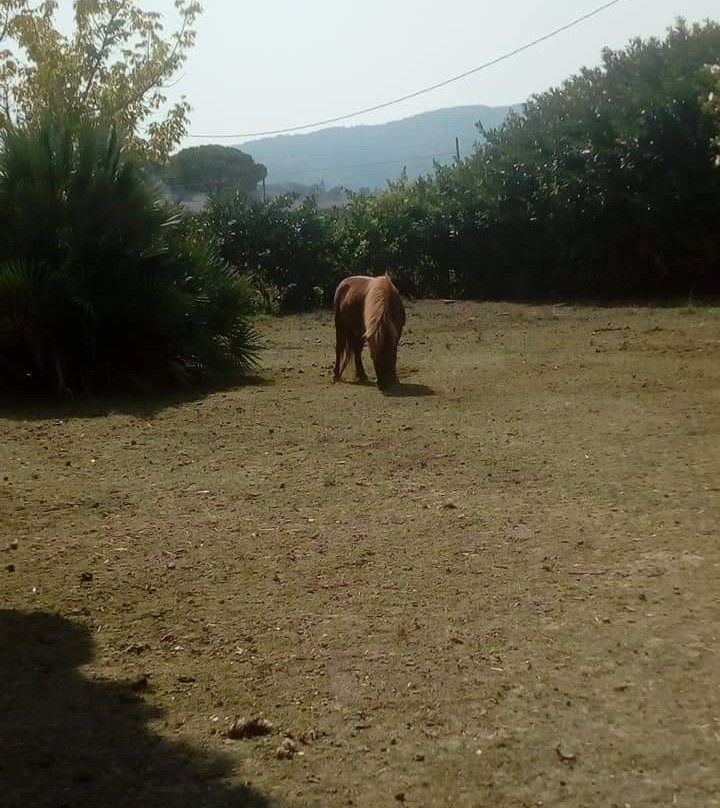 Agriturismo Ristorante Casa Cantone主图
