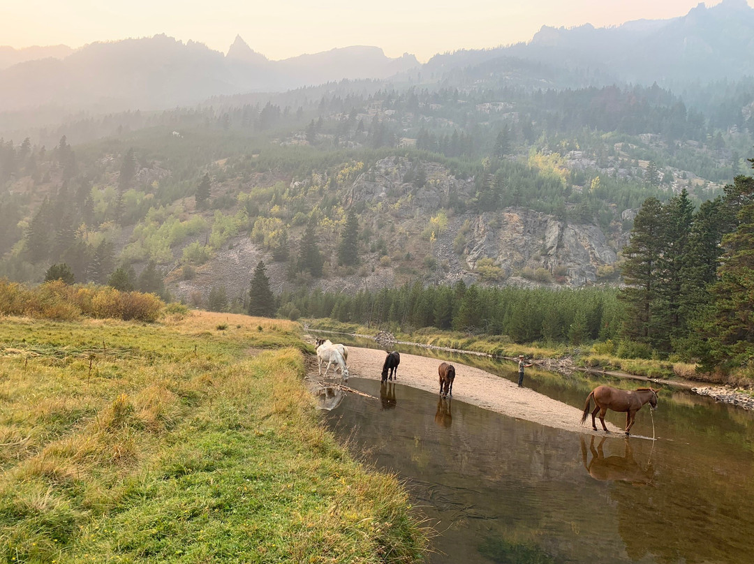 Paintbrush Adventures-Absarokee必去景点