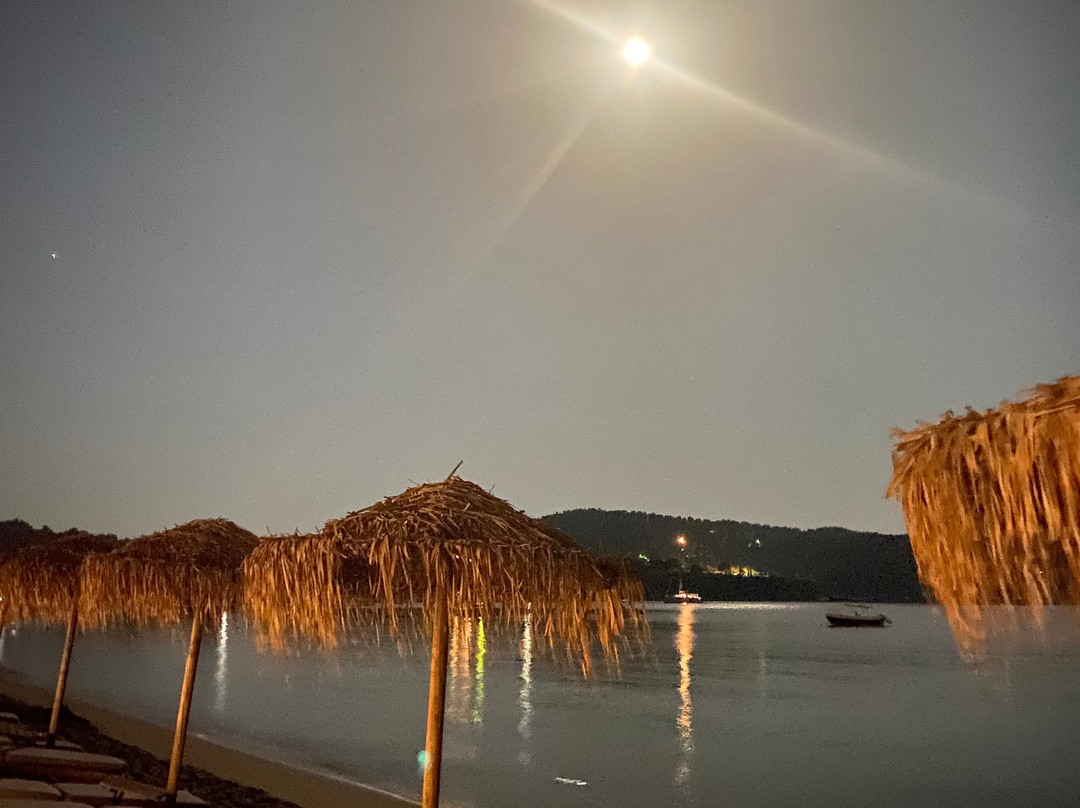 Princess Resort主图