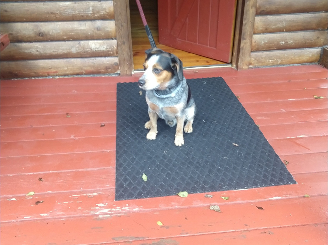 Newport / I-40 / Smoky Mountains KOA