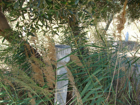 Kumkale旅游攻略图片