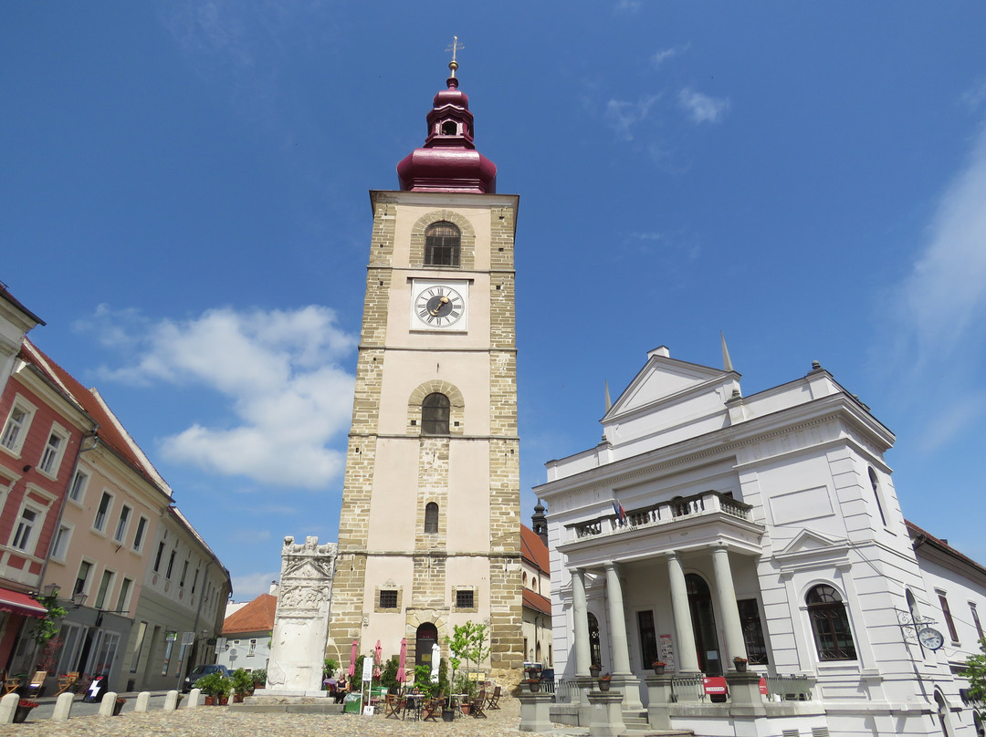 Slovenski trg Square-普图伊必去景点