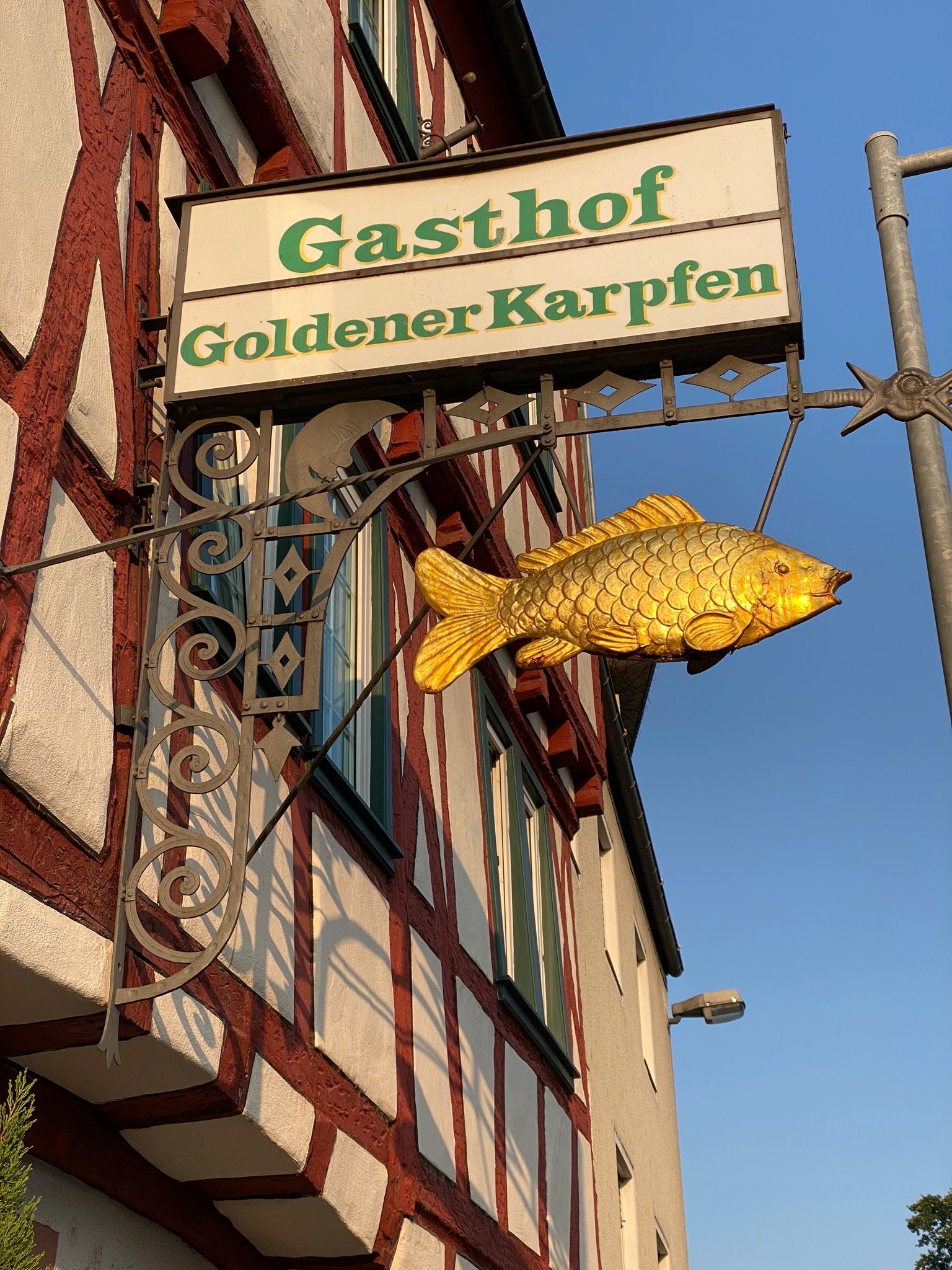 Hotel Goldener Karpfen-官方