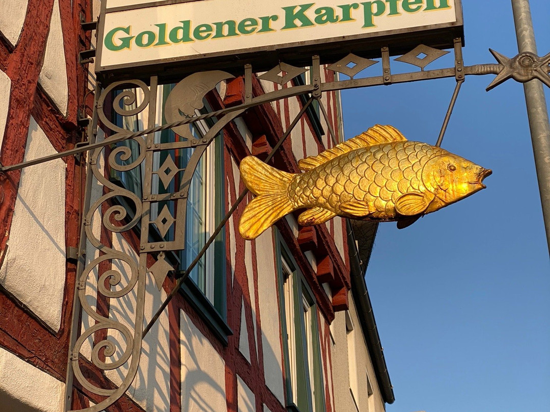 Hotel Goldener Karpfen主图