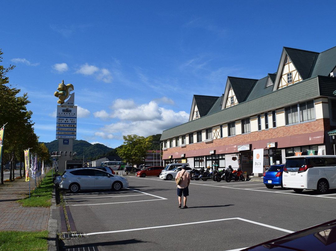 Michi-no-Eki Jukai Road Hidaka-日高町必去景点