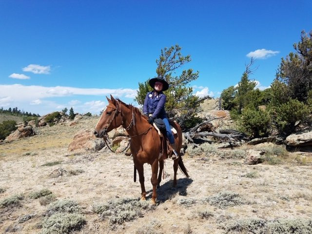 Blue Sky Sage Horseback Riding Adventures景点图片