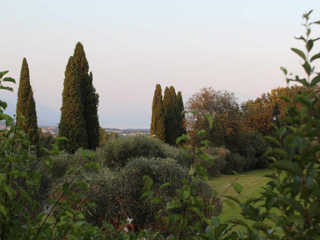 波尔塔德索雷酒店主图