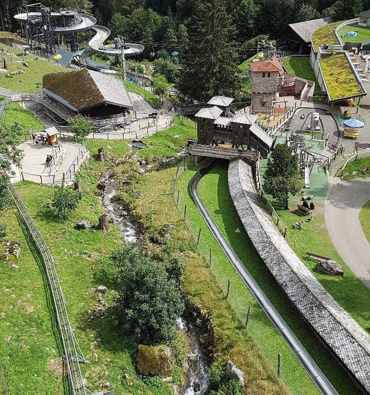 Steinwasen Park-Oberried必去景点