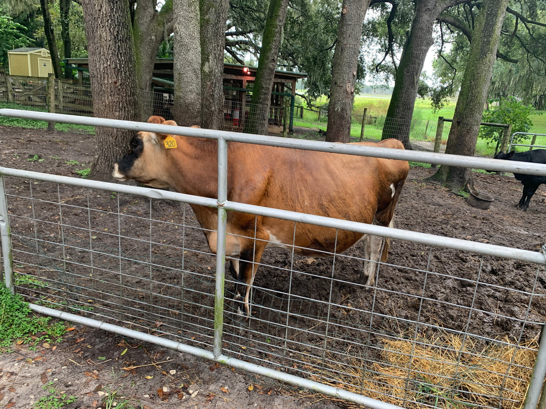 Lake Meadow Naturals-Ocoee必去景点