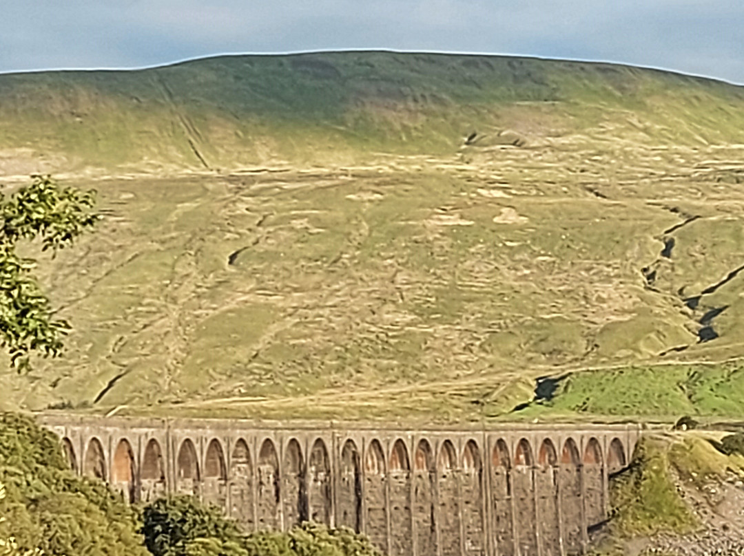 The Station Inn主图