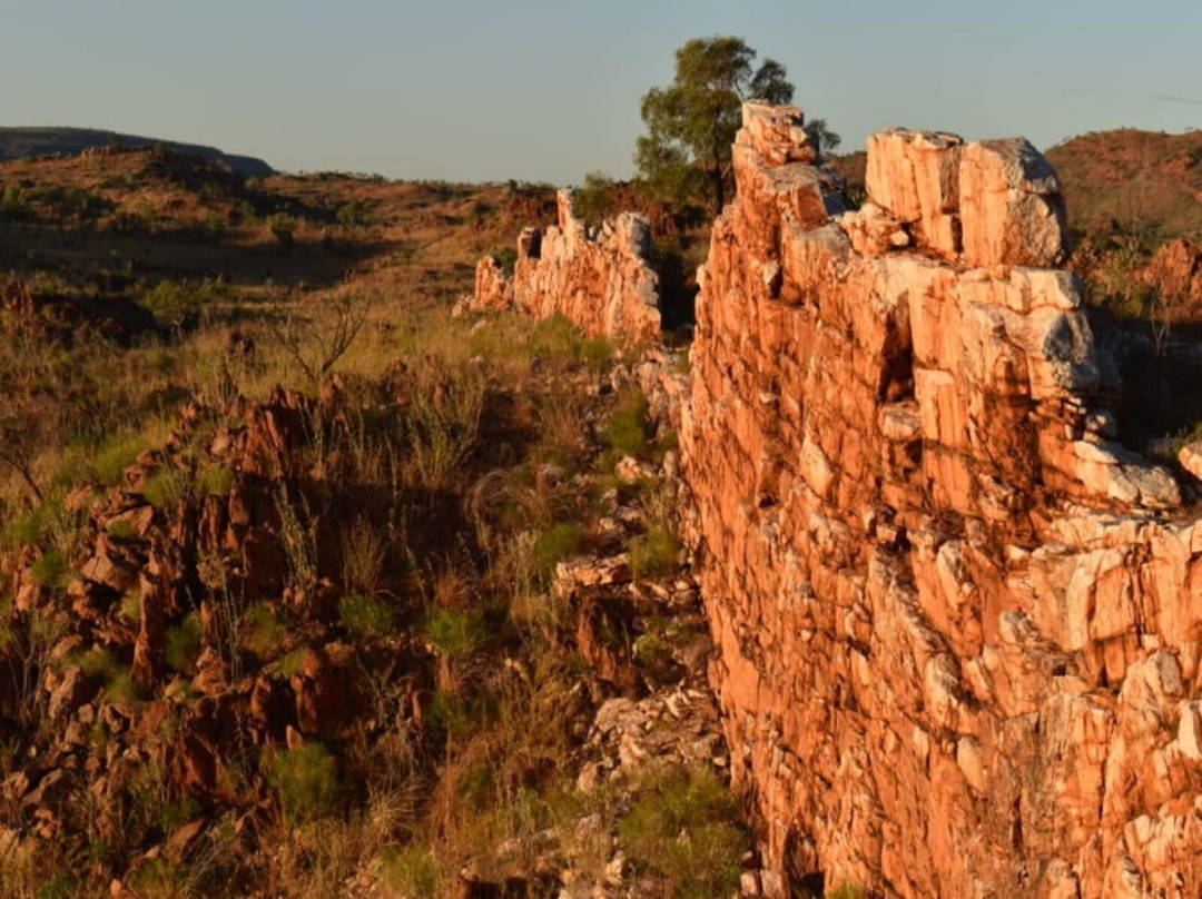 Halls Creek Visitors' Centre景点图片
