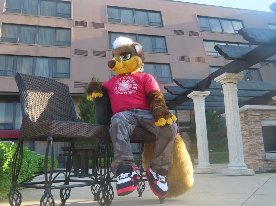 Indianapolis Marriott East主图