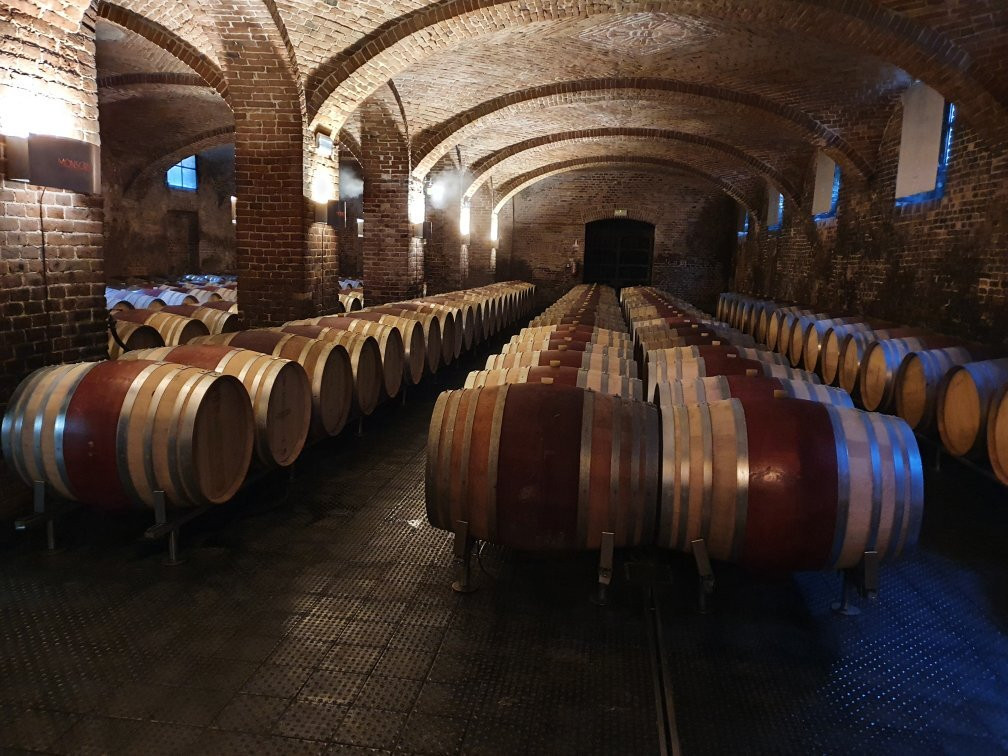 Ceretto Aziende Vitivinicole景点图片