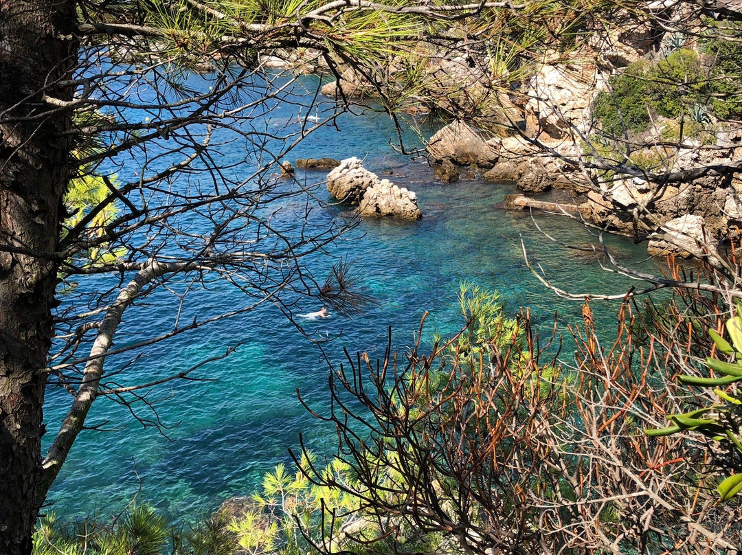 Plage de la Baie des Milliardaires-安提贝必去景点