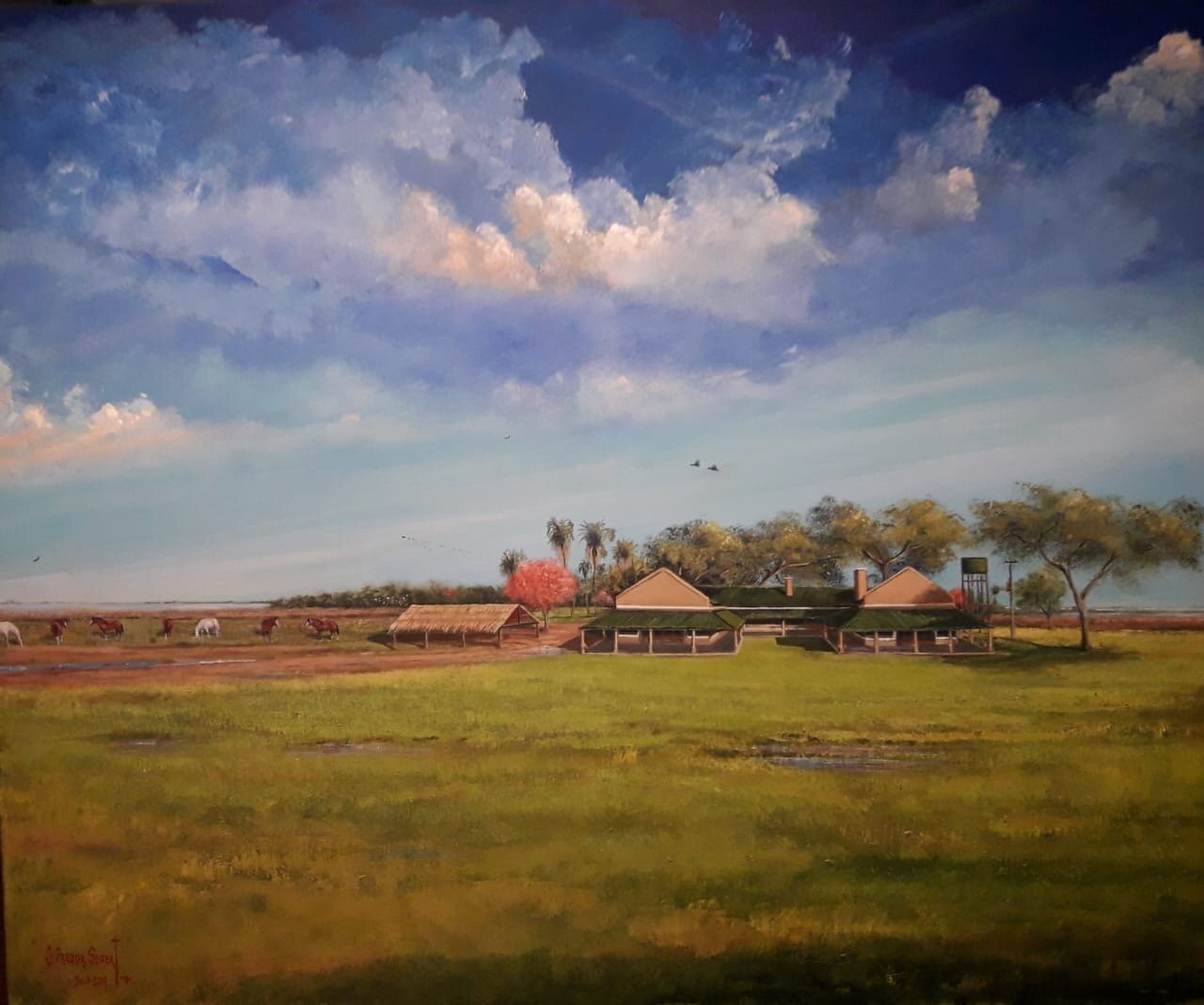Laguna Ibera-官方