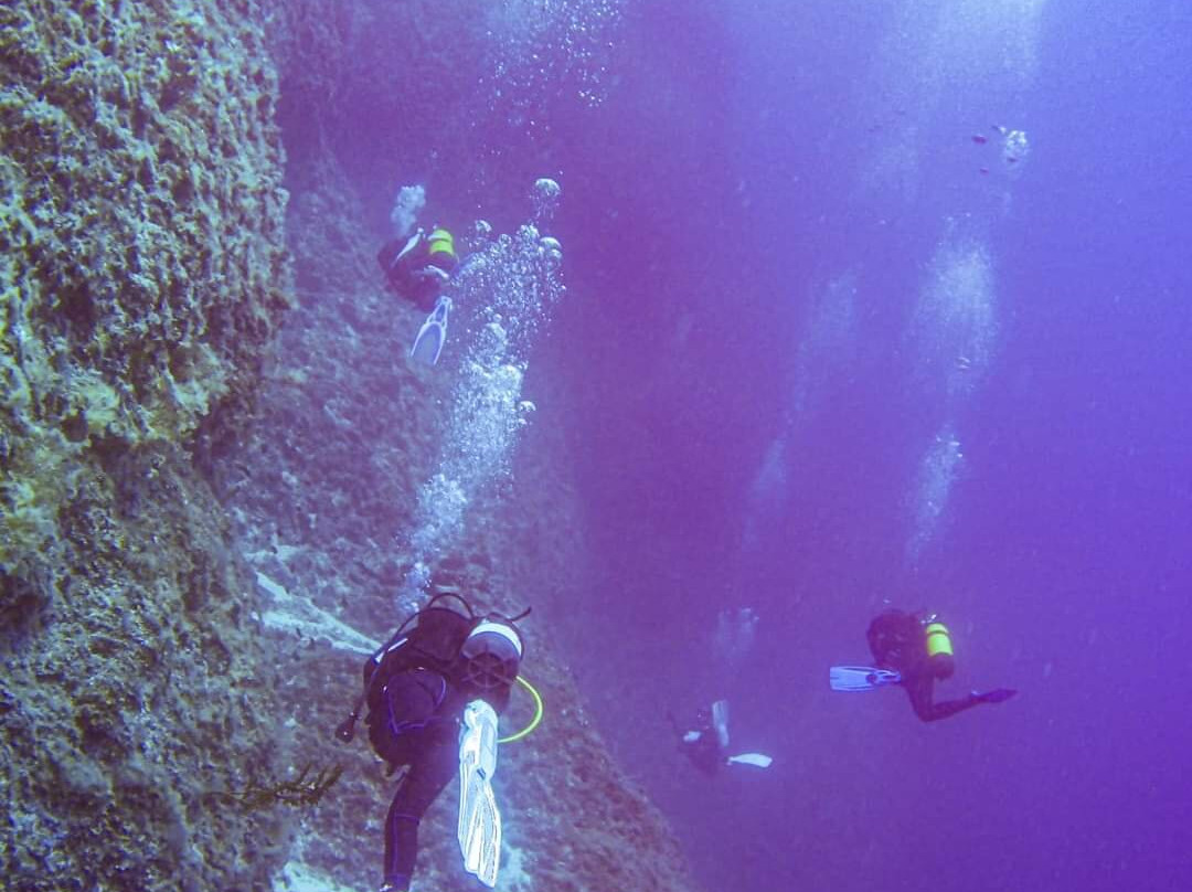 Draulik Dive Center景点图片