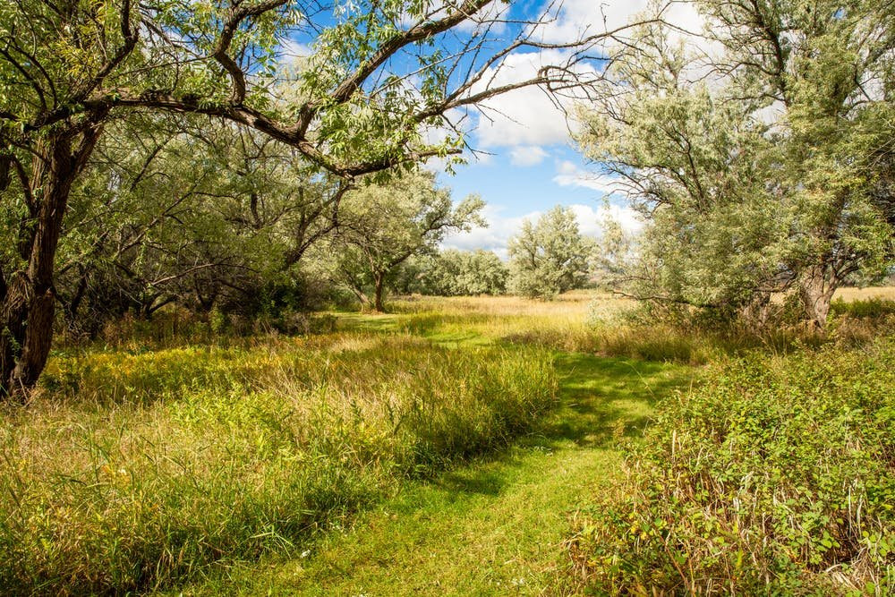 Oddfellow Inn and Farm主图