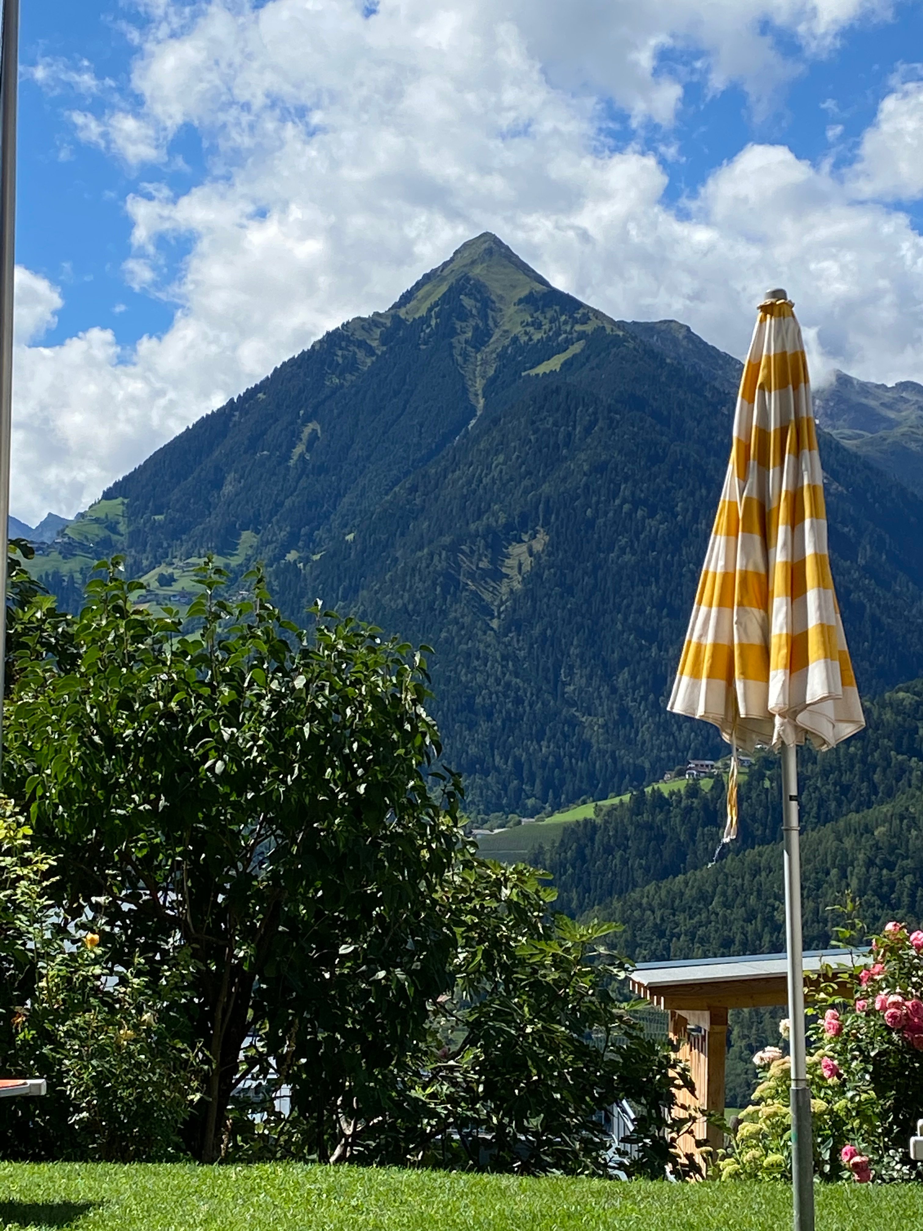 Family Hotel Gutenberg-泳池