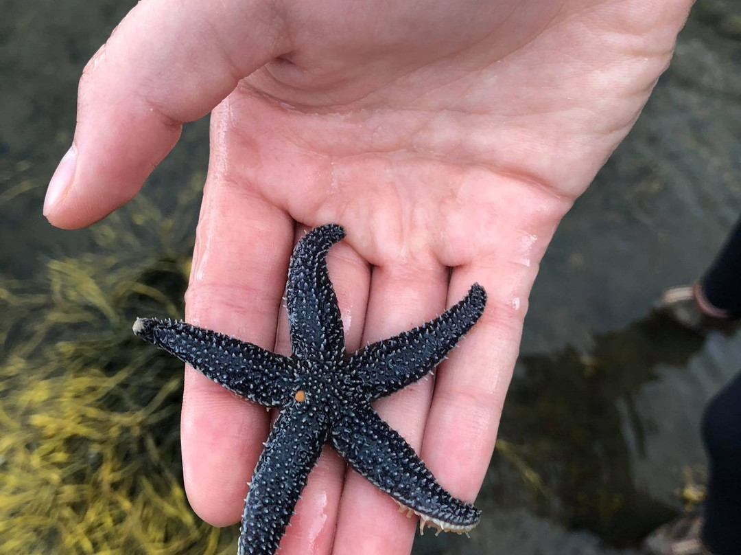 Salsman Provincial Park-Guysborough必去景点