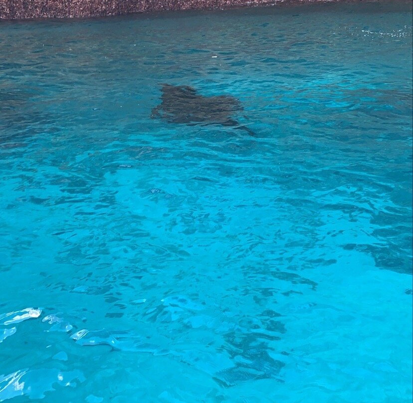 Nusa Penida Explorer-珀尼达岛必去景点