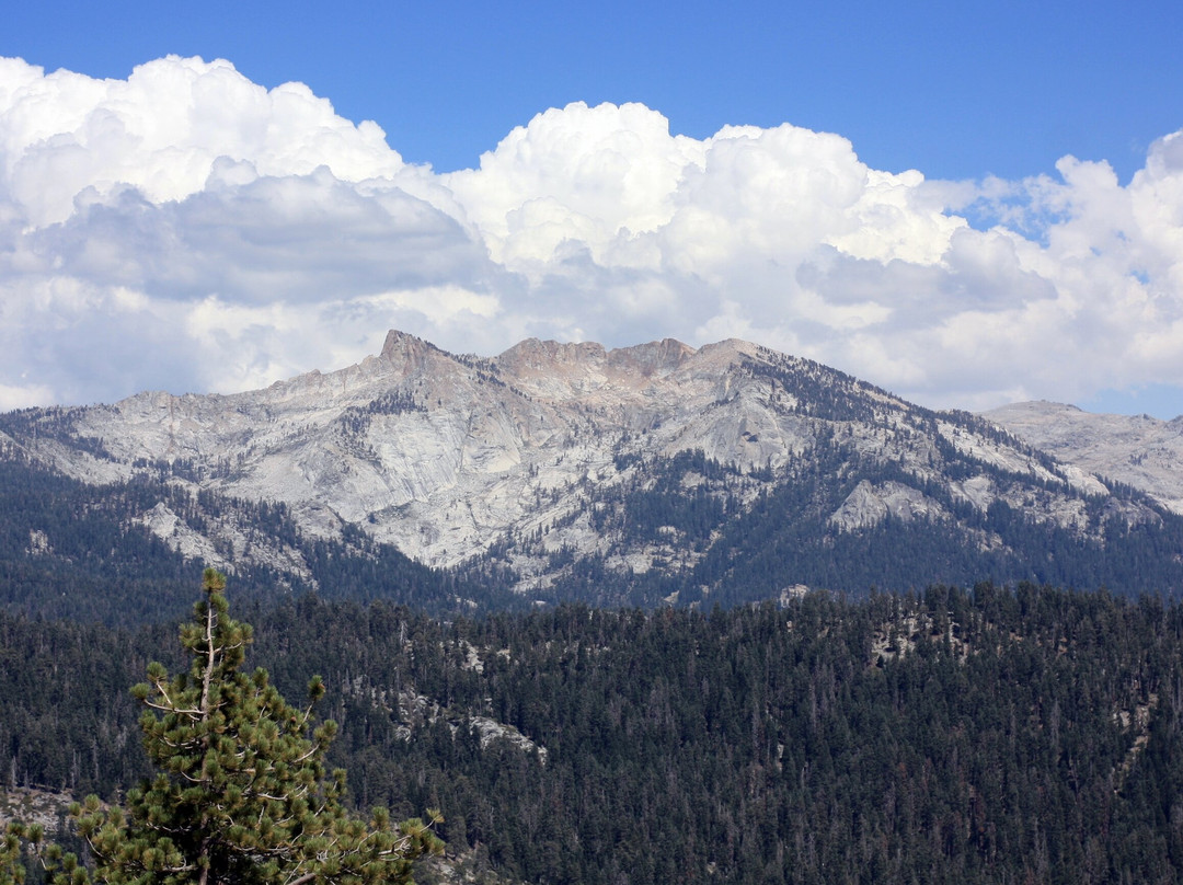 Little Baldy Trail-红杉&国王峡谷国家公园必去景点