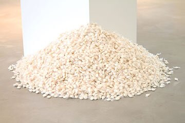 NSU Art Museum Fort Lauderdale-劳德代尔堡必去景点