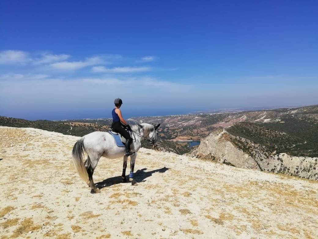 Aphrodite Hills Riding Club-库克利亚必去景点
