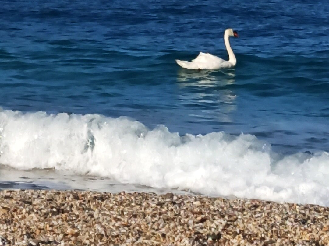 Achla Beach-安德罗斯必去景点