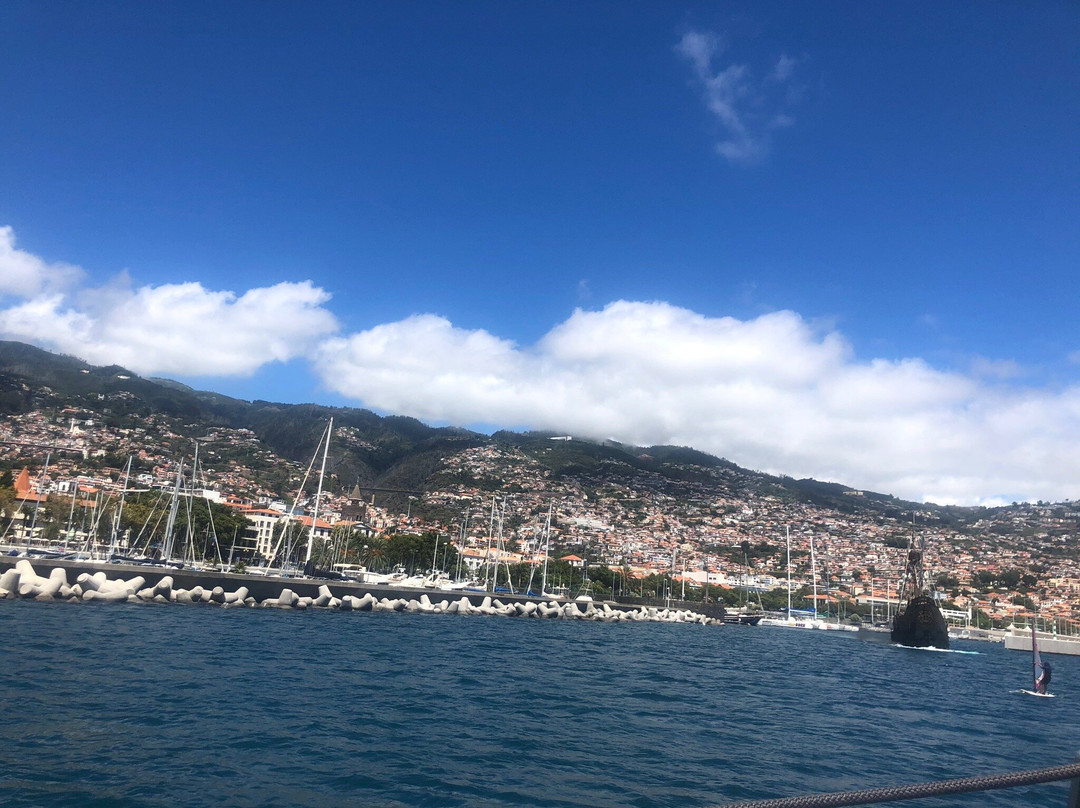 Seaborn Catamaran-沙尔必去景点