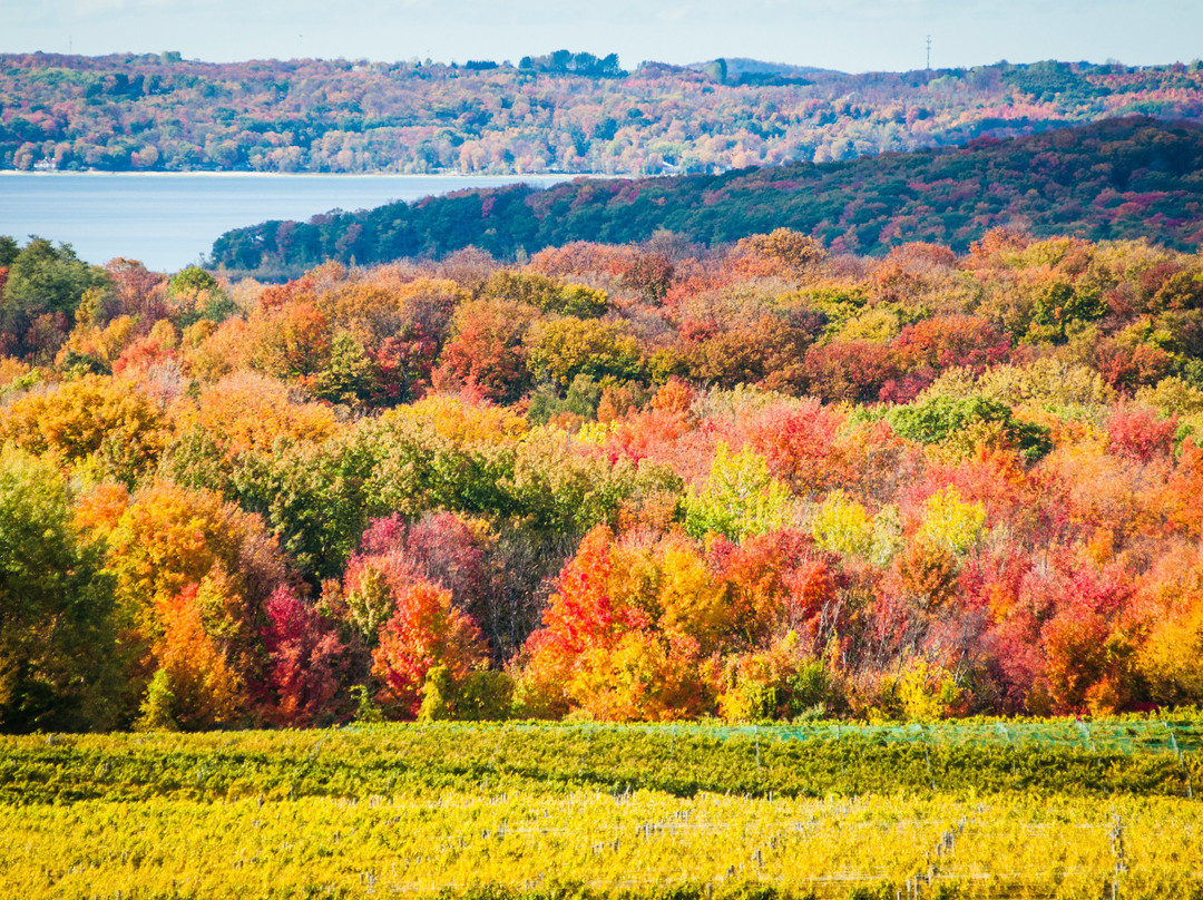 Traverse City Tours景点图片