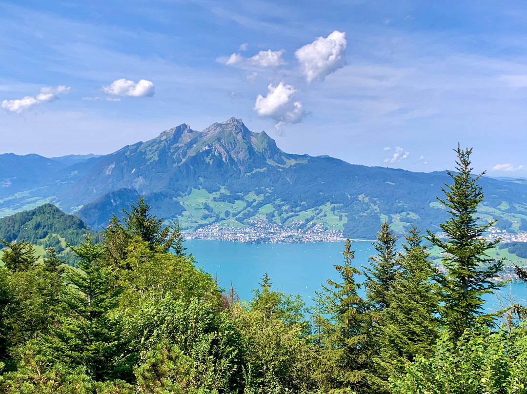 Hammetschwand Lift景点图片