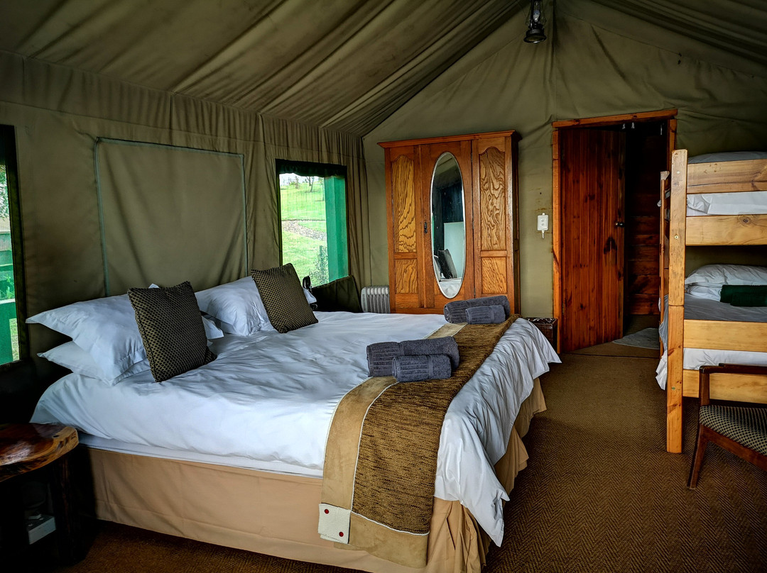 Fernhill Tented Treehouses