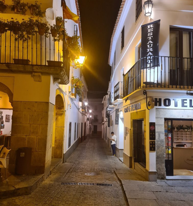 Hotel Plaza Grande主图