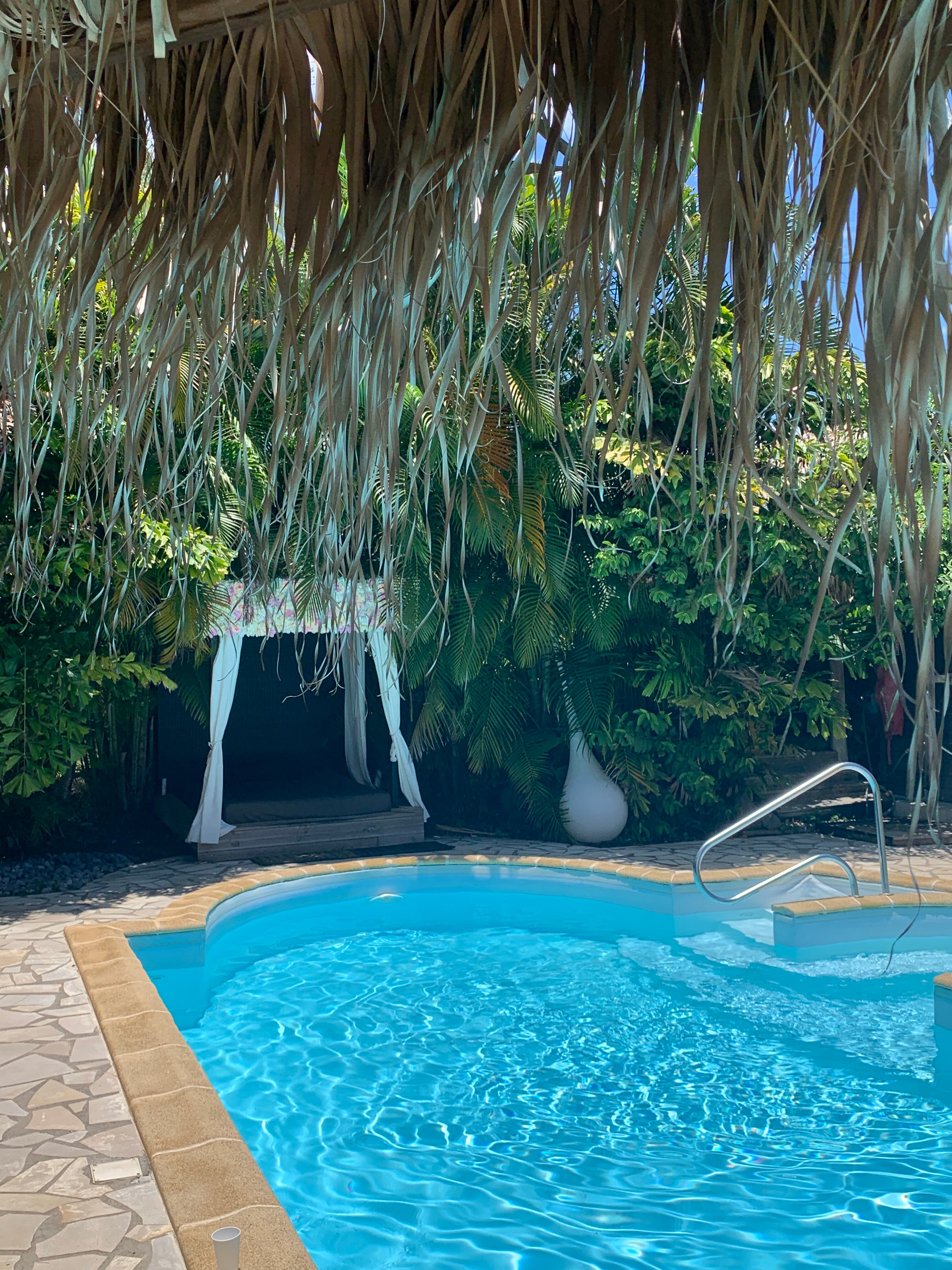 Eden Paradise Spa Ecolodge-泳池