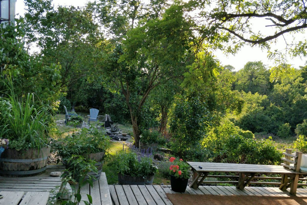 The Miller's House Bed and Breakfast主图