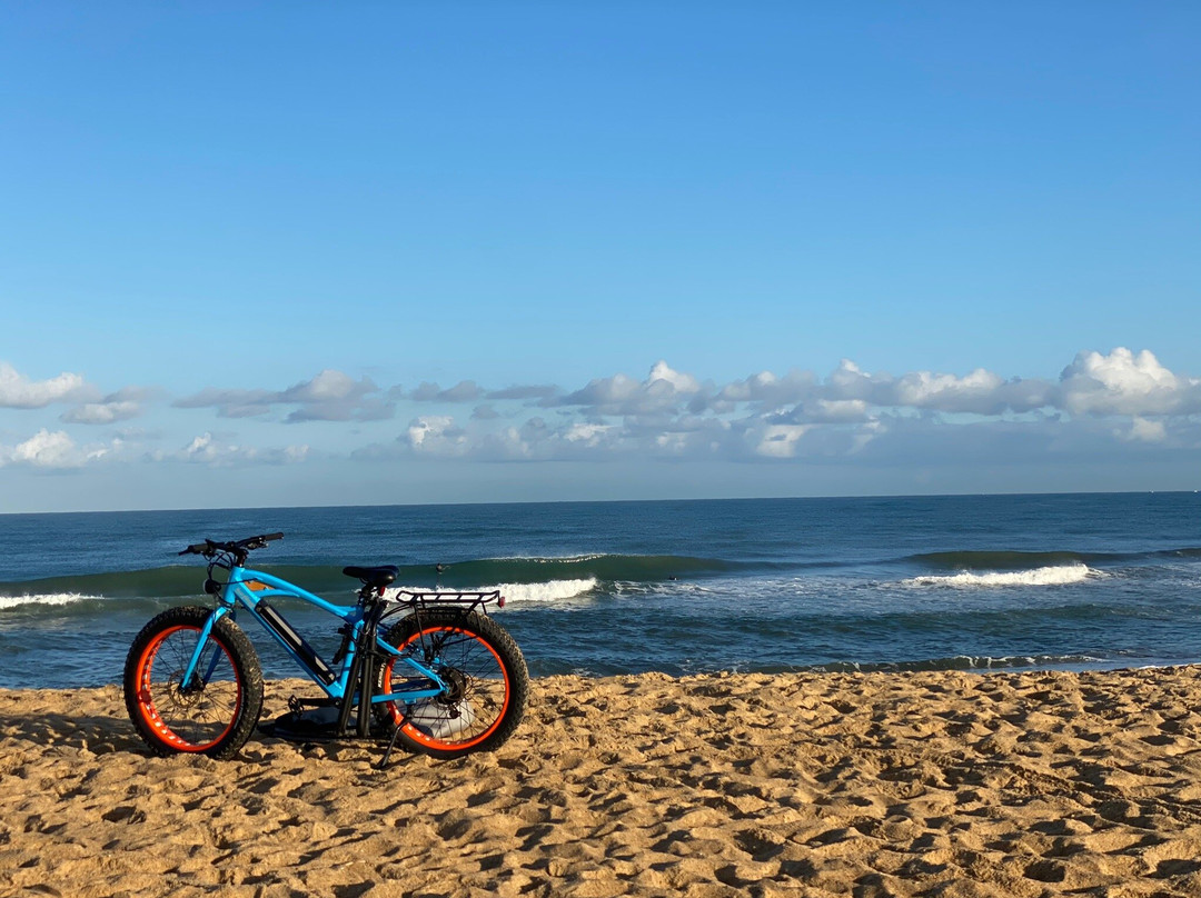 Go and Surf Labenne景点图片