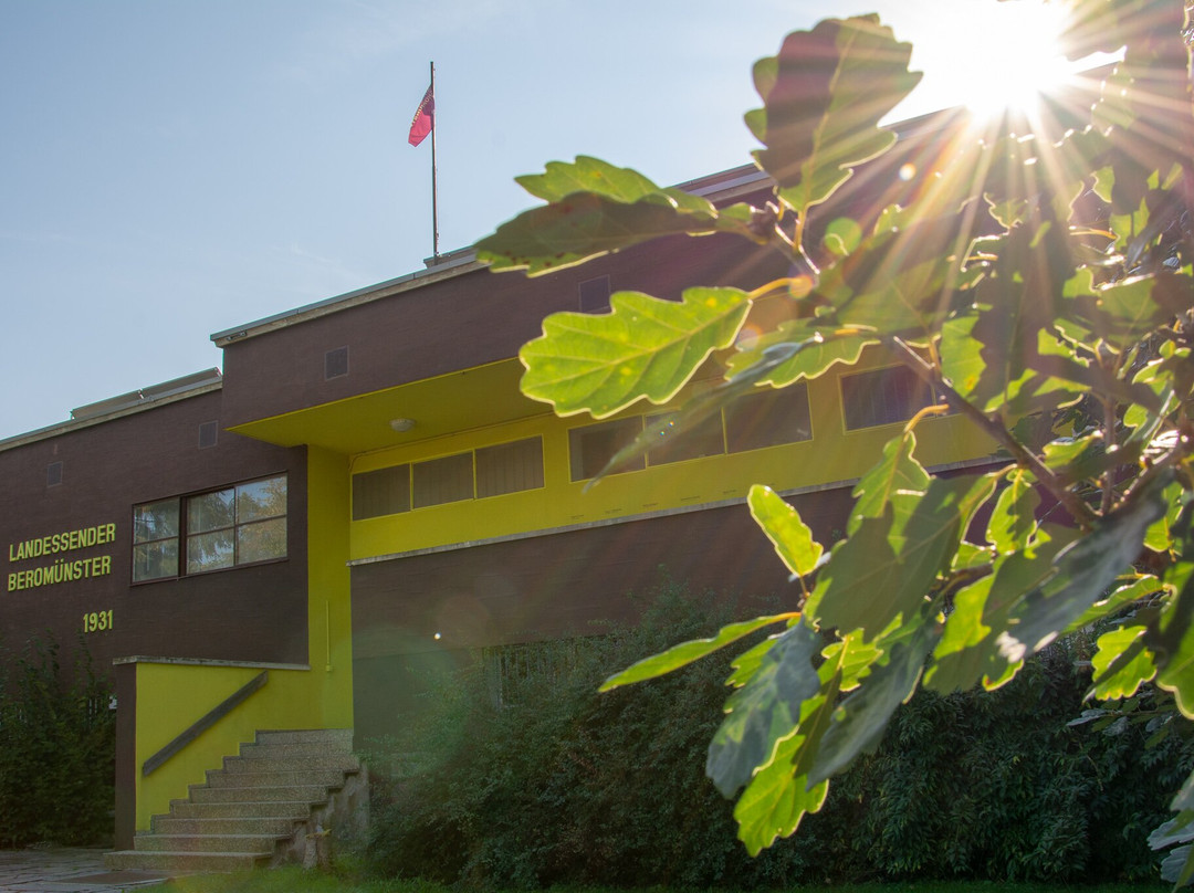 Menziken旅游攻略图片