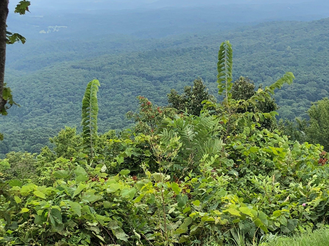 Arkansas Grand Canyon-Jasper必去景点