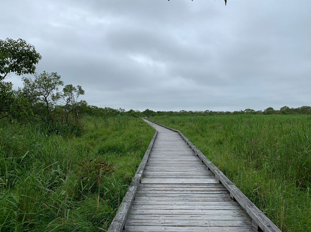 Onnenai Boardwalk-鹤居村必去景点