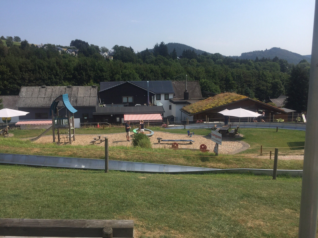 Sommerrodelbahn Willingen-Willingen必去景点