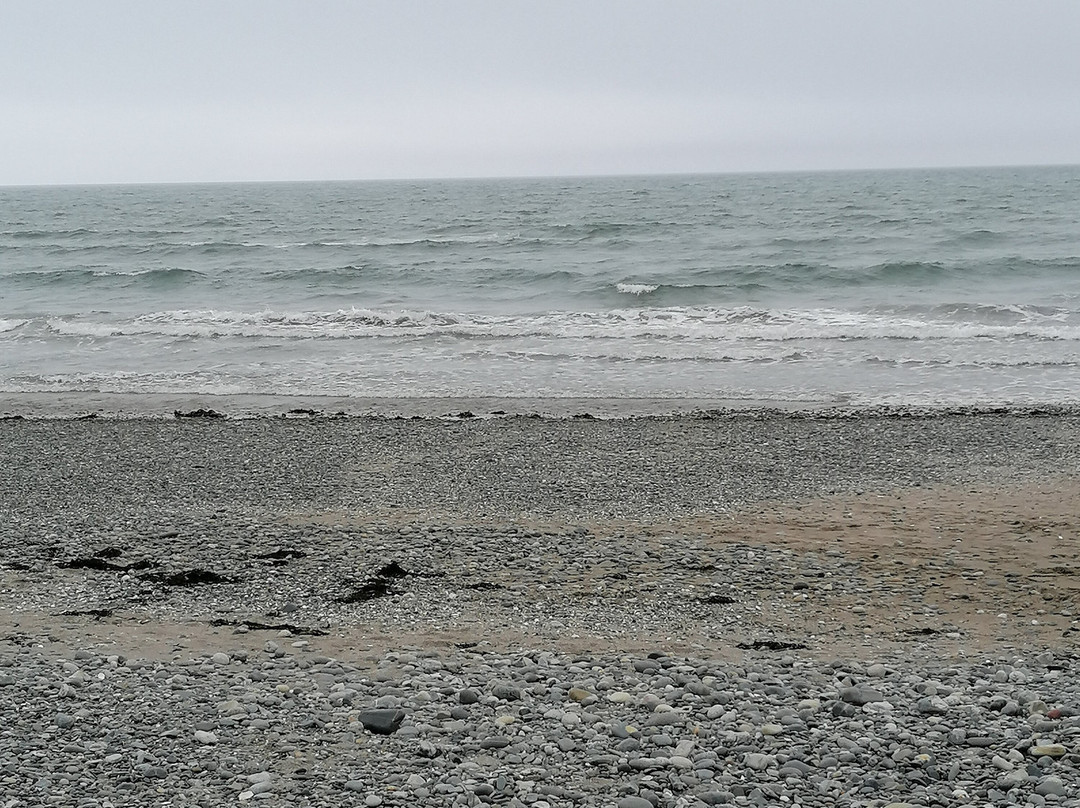 Murlough National Nature Reserve景点图片